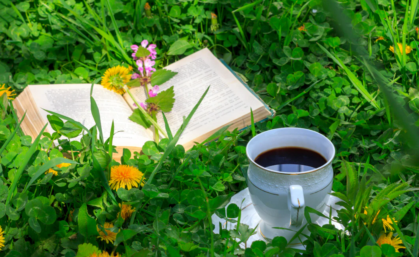Cup of coffee with a book in a field of dandylions