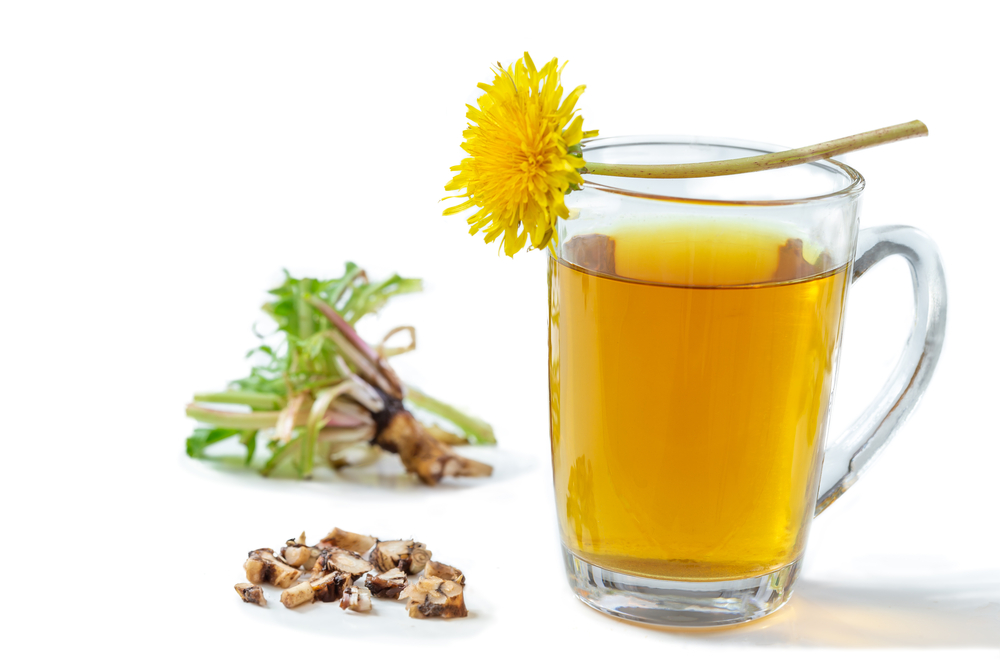 Cup of Dandylion tea with flower and roots