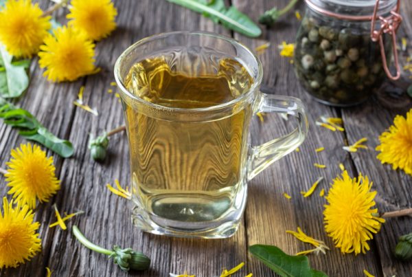 A cup of dandelion tea with fresh flowers