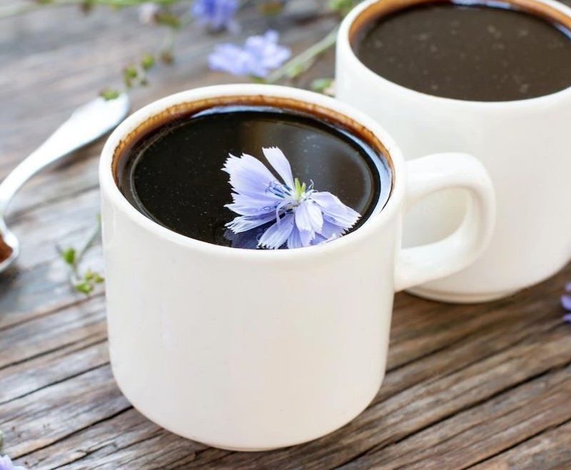 Cups of Dandy Blend with chicory flowers