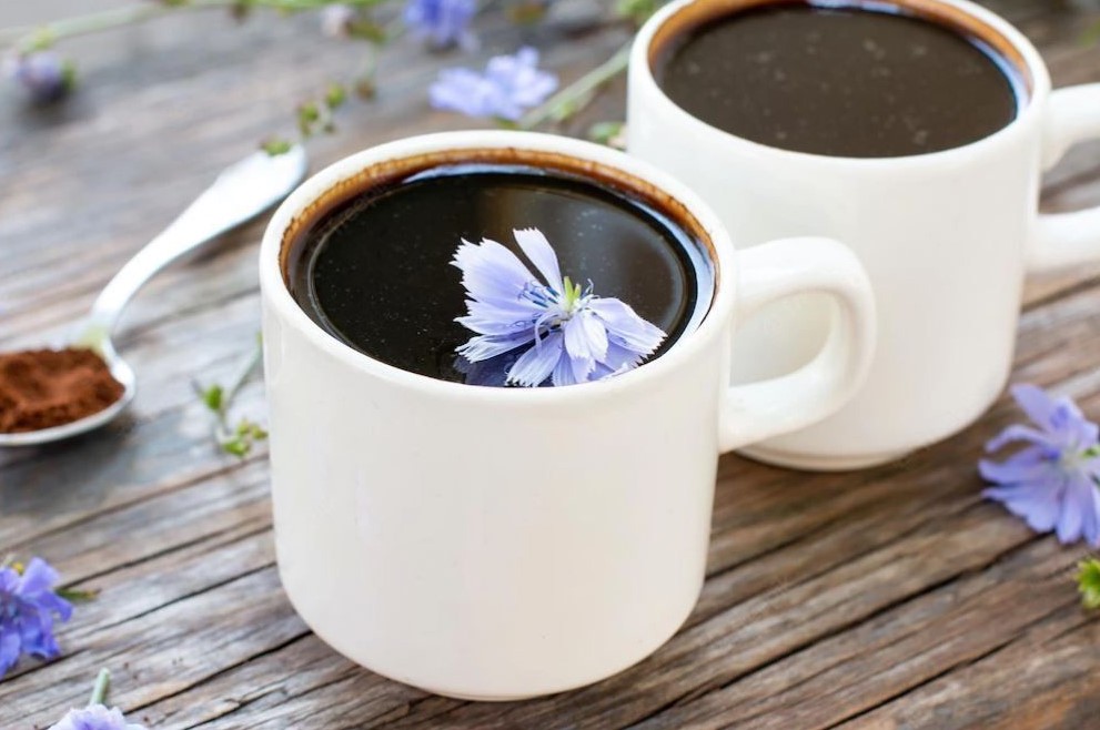 Cups of Dandy Blend with chicory flowers