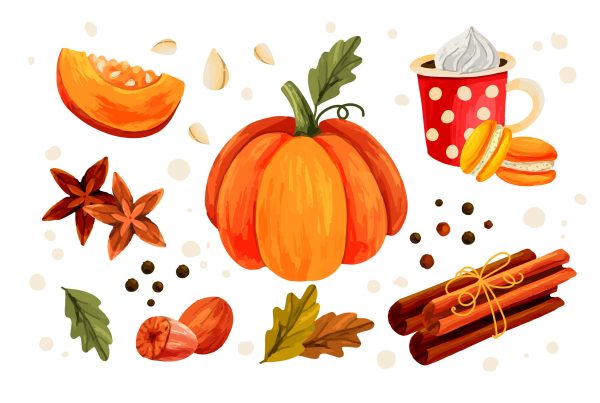 Illustrations of a pumpkin, spices and a pumpkin spice latte