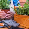 Person at work table holding a clay pot of herbs