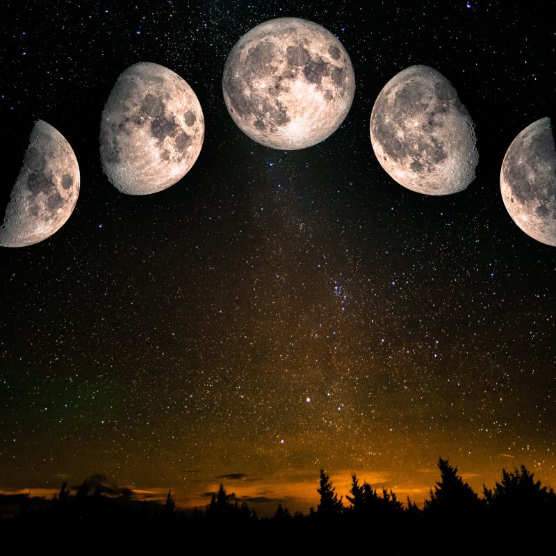The phases of the moon