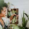 Woman spraying her house plants with homemade treatment