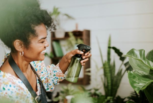 Woman spraying her house plants with homemade treatment