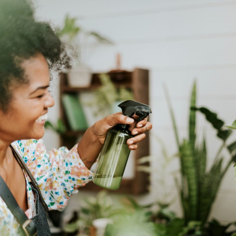 Woman spraying her house plants with homemade treatment