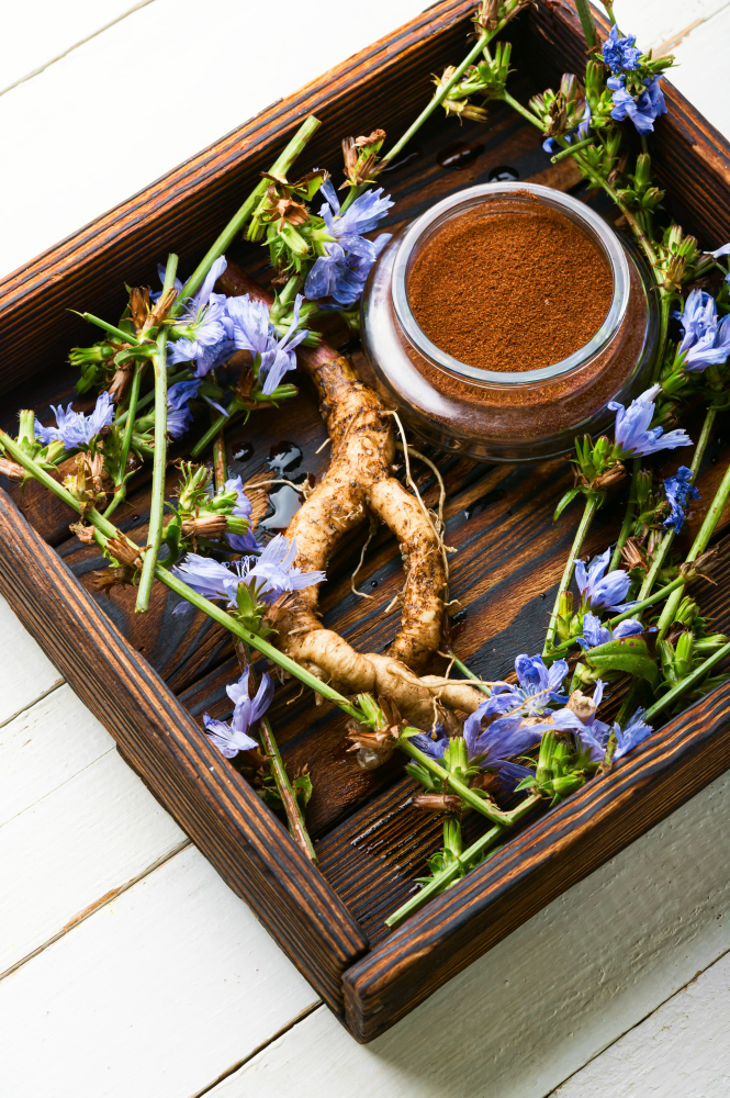 Chicory root and flowers in a wood tray on a table